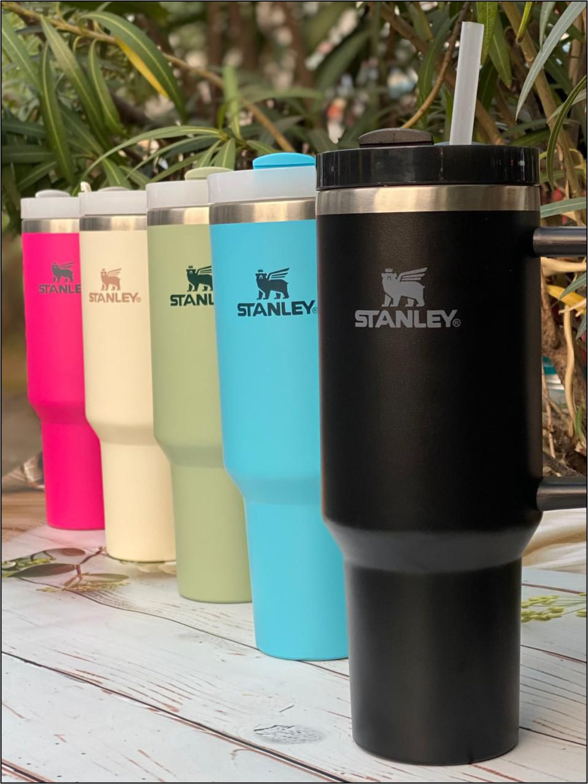 Stanley Celebrity Tumblers