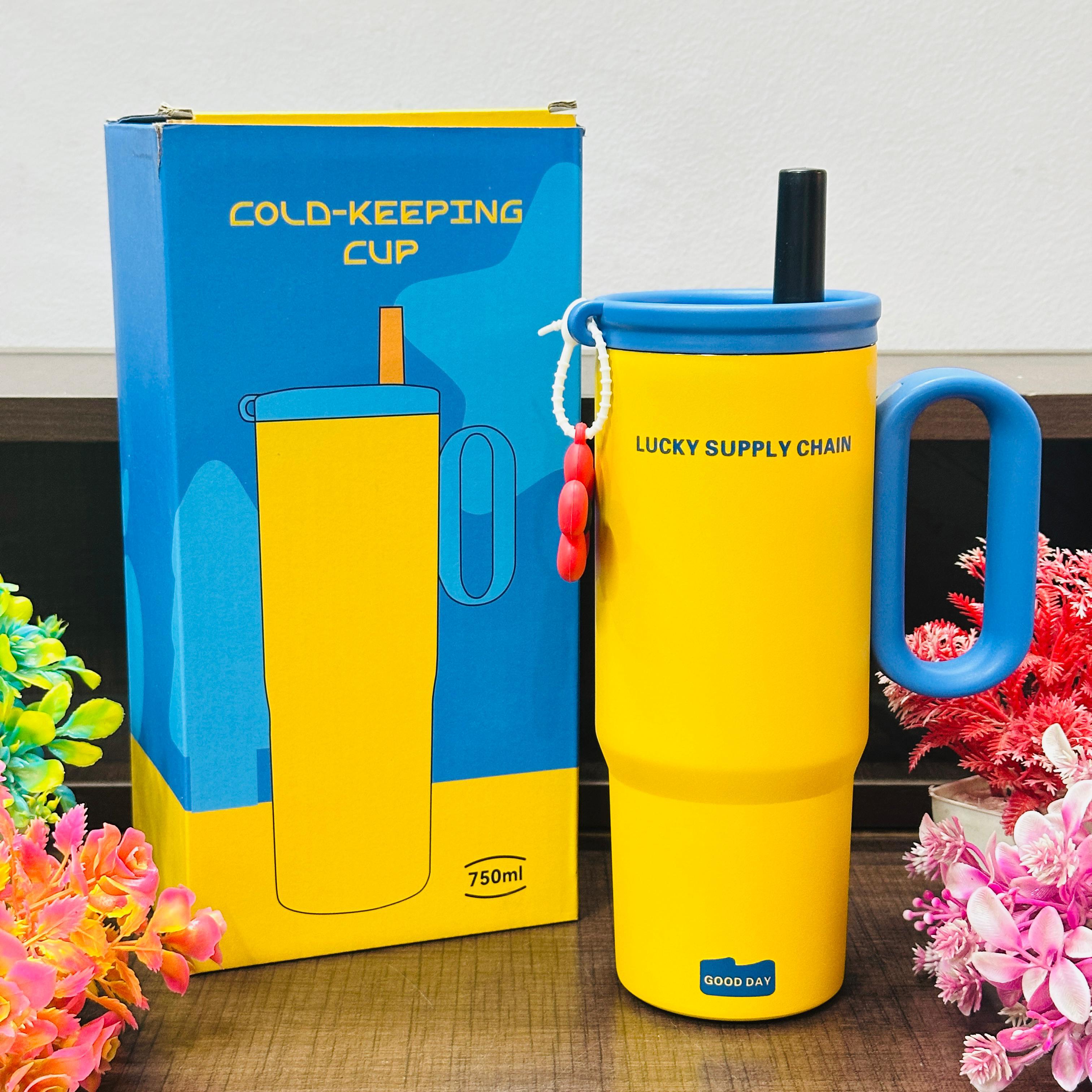 750 ml Stainless steel tumblers