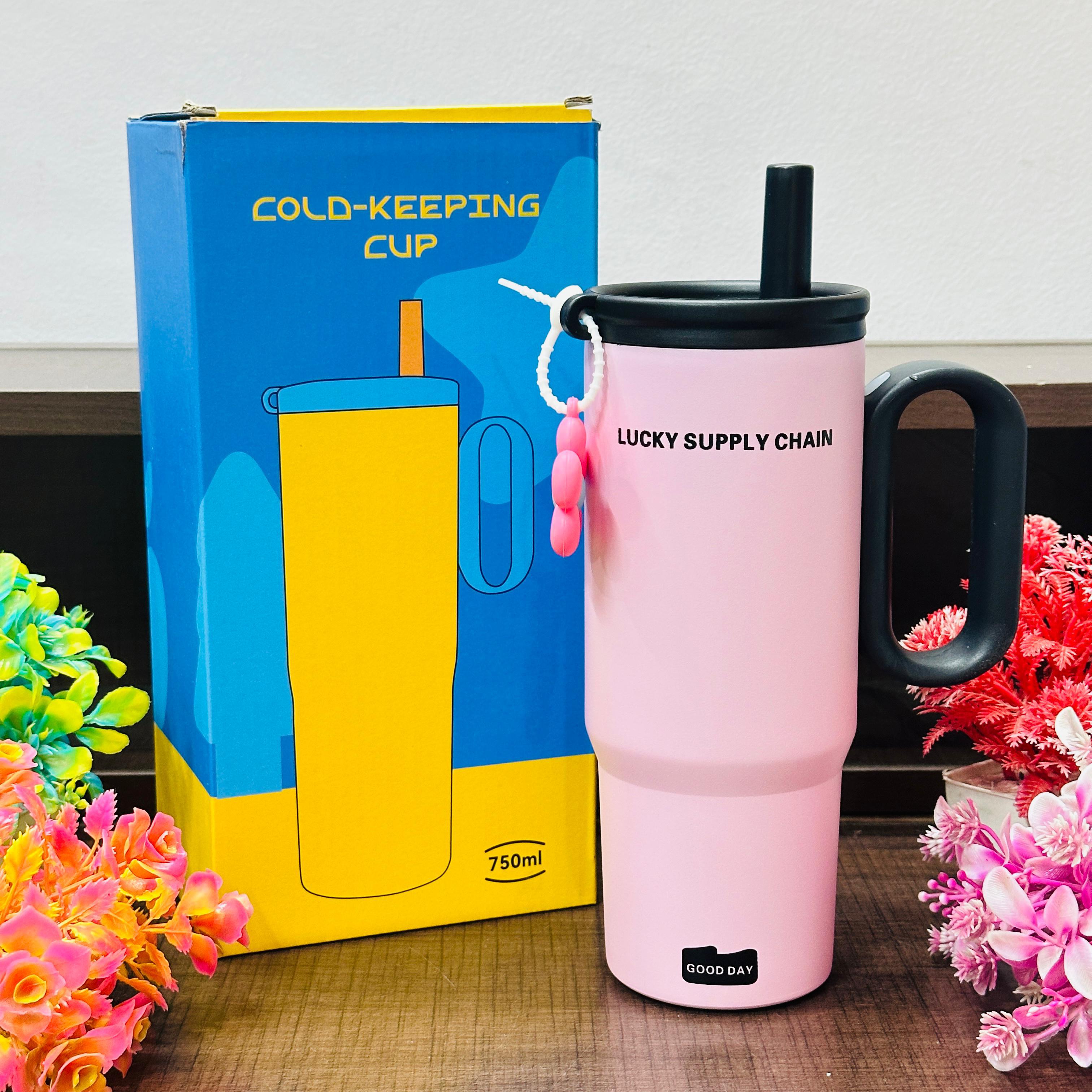 750 ml Stainless steel tumblers